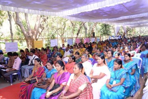 gathered_crowd_for_the_celebration